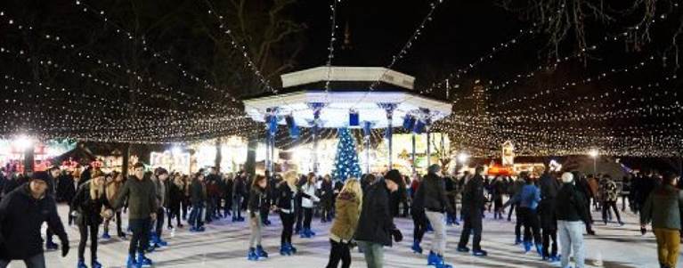 Ice Skating in Hyde Park