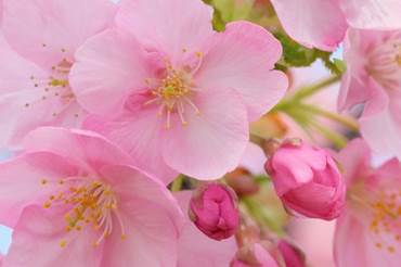 Explore London events in April 2019