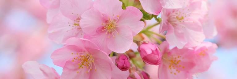 Explore London events in April 2019