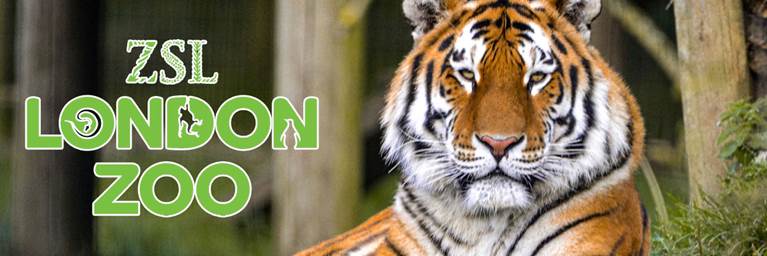 ZSL London Zoo