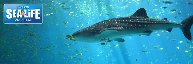 SEA LIFE Aquarium