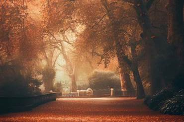 Autumn in London