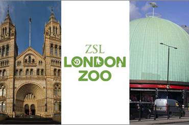 What is there for kids in London?