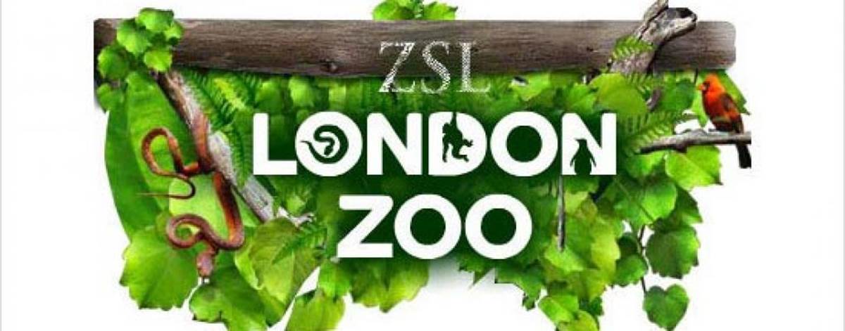 Zsl London Zoo Near Mercure Hyde Park
