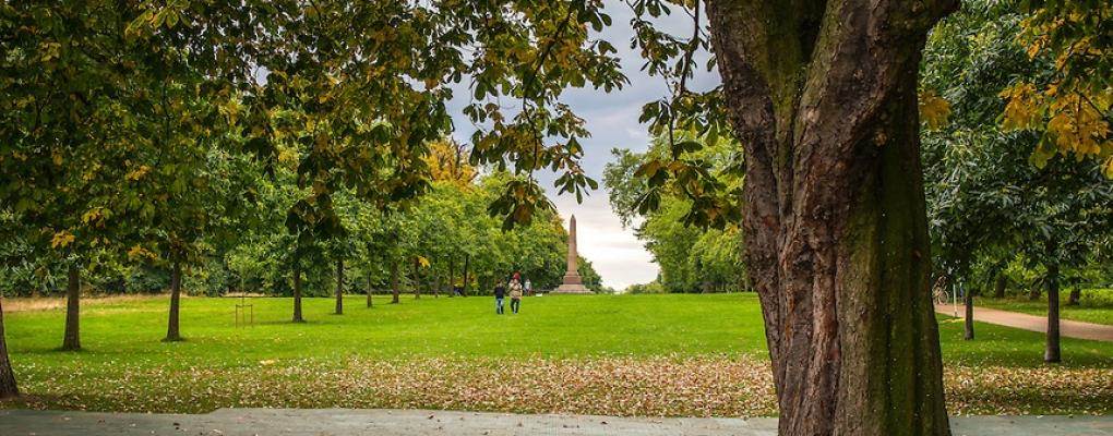 Traditional Crafts – Natural Festive Crafts