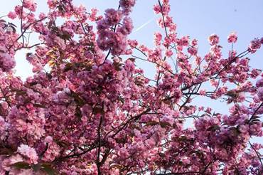 London Events In April 2019 Things To Do In London