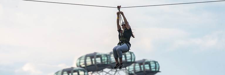 Zip Now