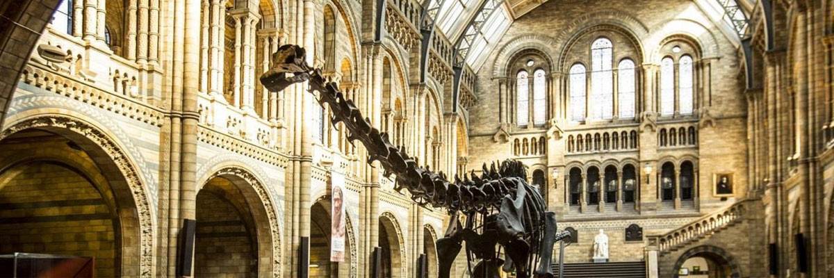 Natural History Museum