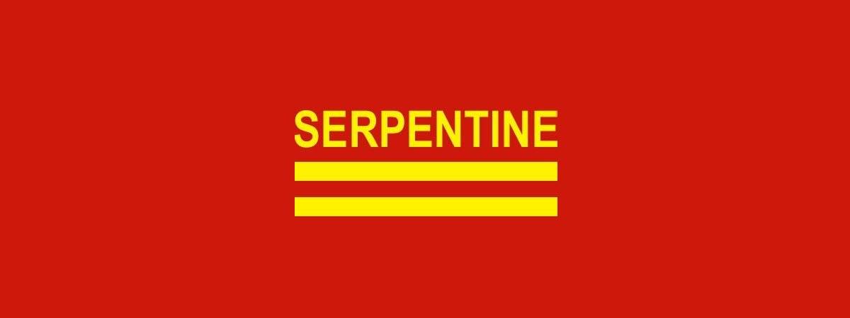 Serpentine New Year’s Day fun run