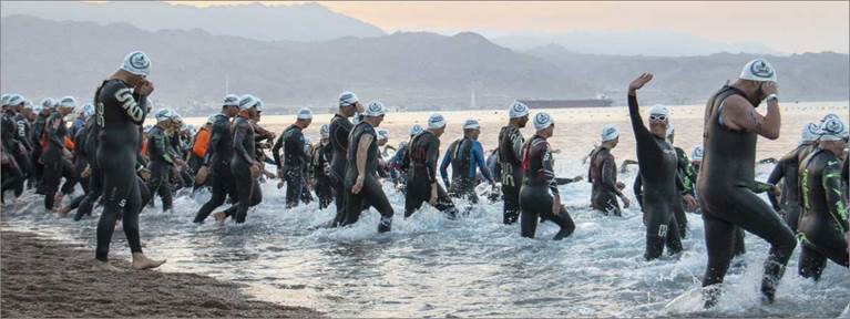 Swim in the City