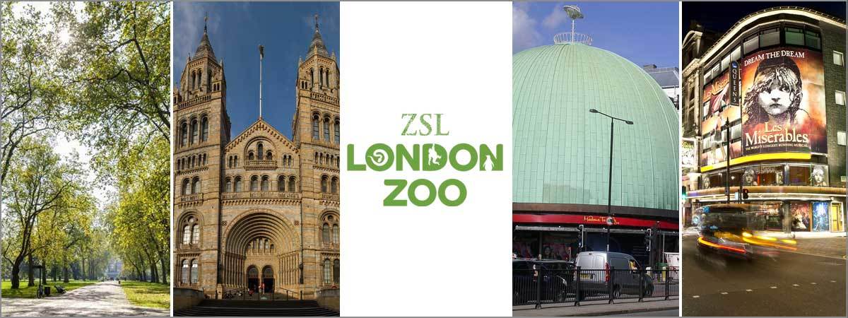 What is there for kids in London?