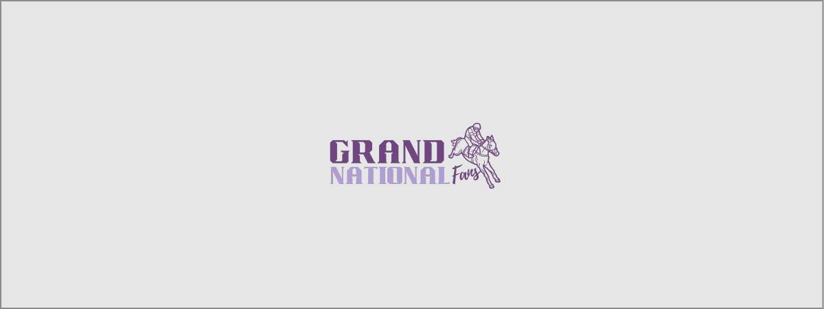 The Grand National 2025